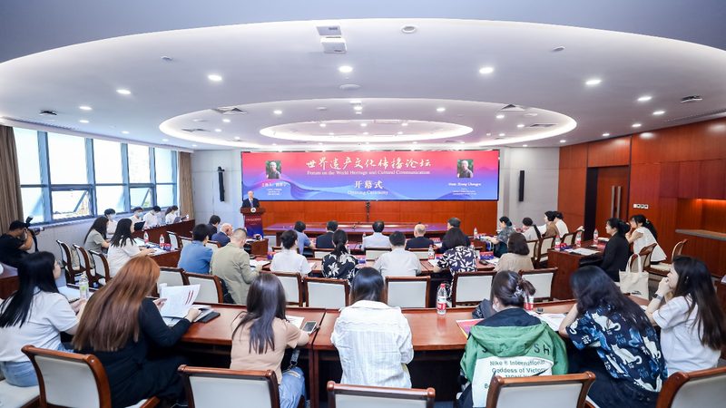 在购买VI设计素材时，需要关注以下标准：