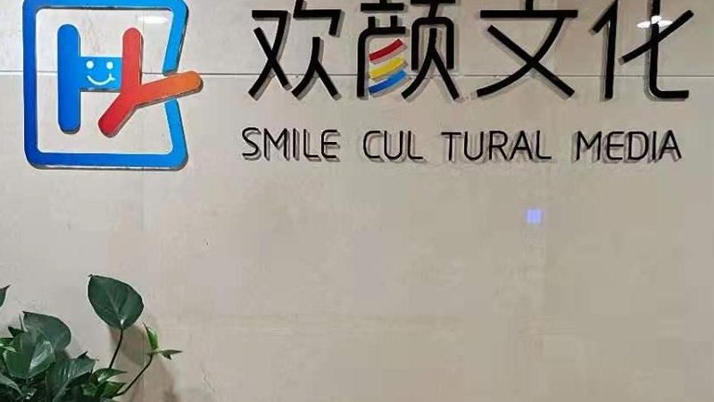优质的服务商应注重与观众的互动，提升用户体验。这包括：