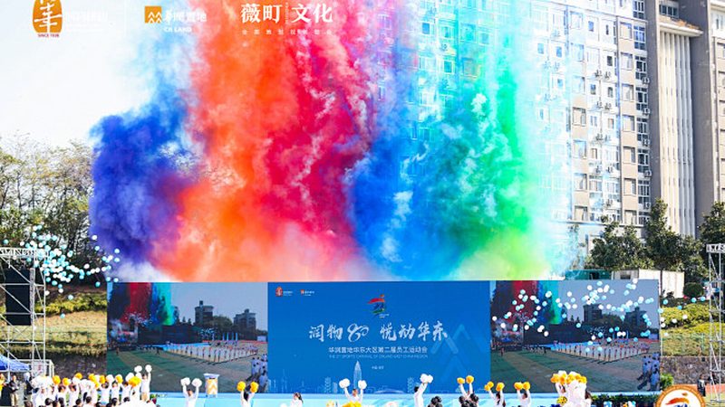 品牌策划公司优缺点分析